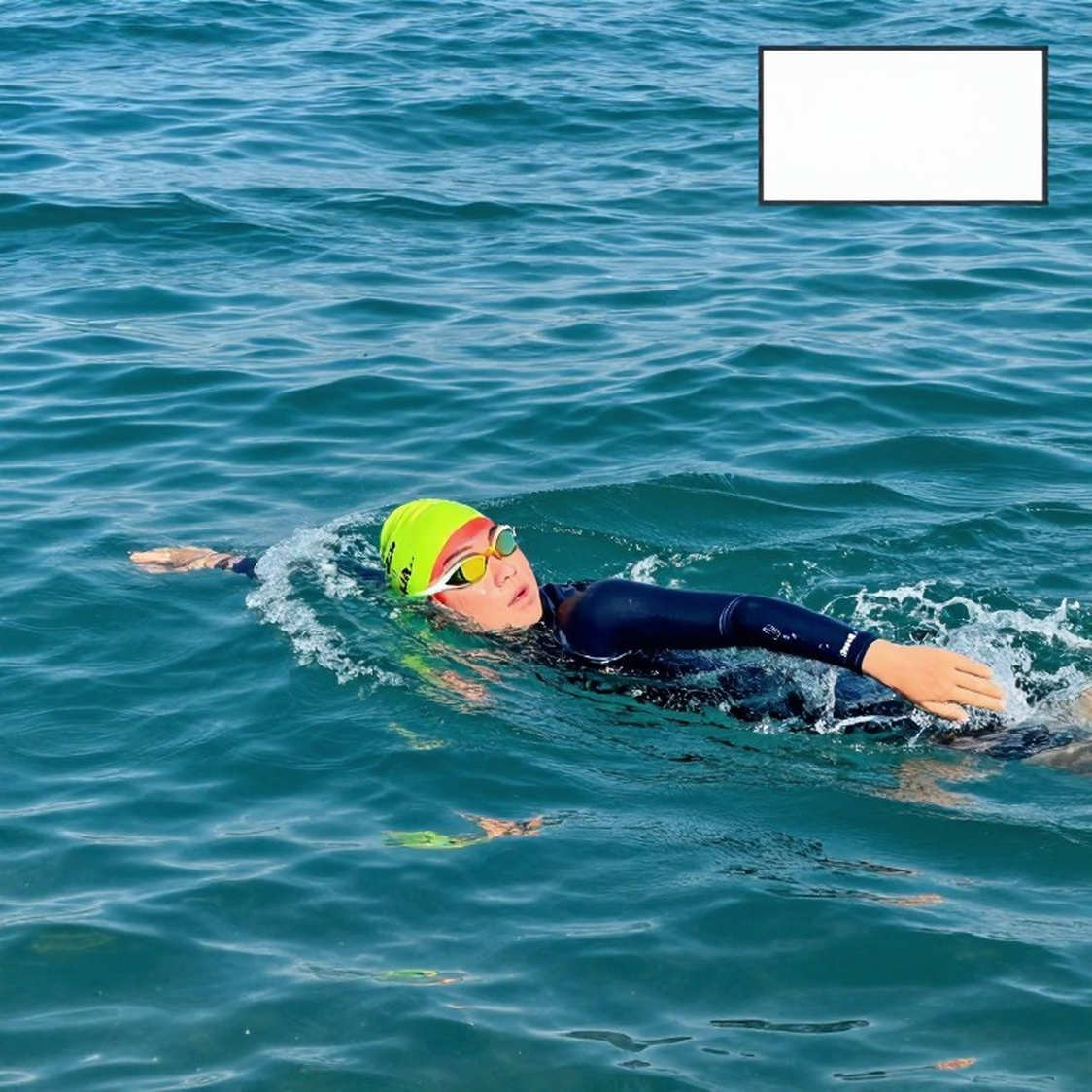 1.700 vé ở Avery: tín hiệu thương mại của College Swimming League sau ba trận