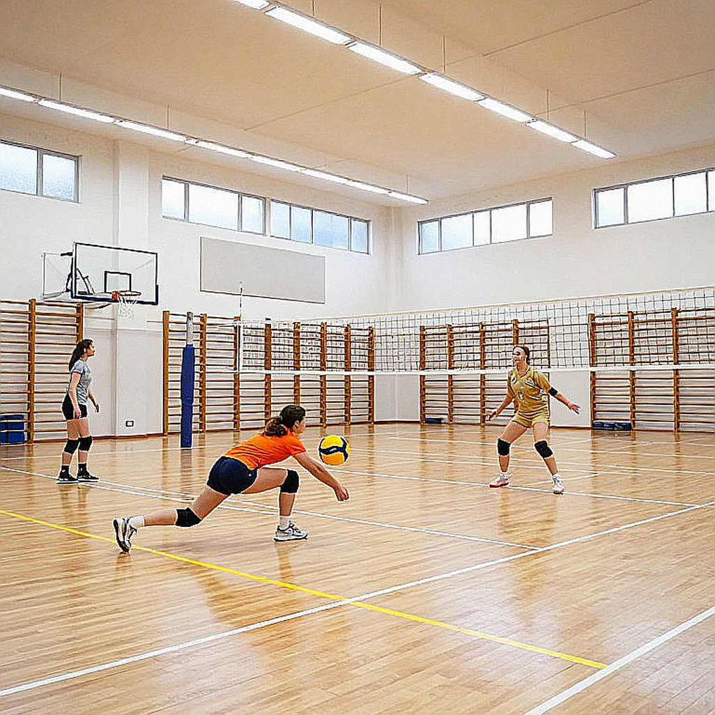 VNL nữ 2026: hệ thống đỡ bóng của Nhật Bản và giới hạn của một lối chơi tốc độ