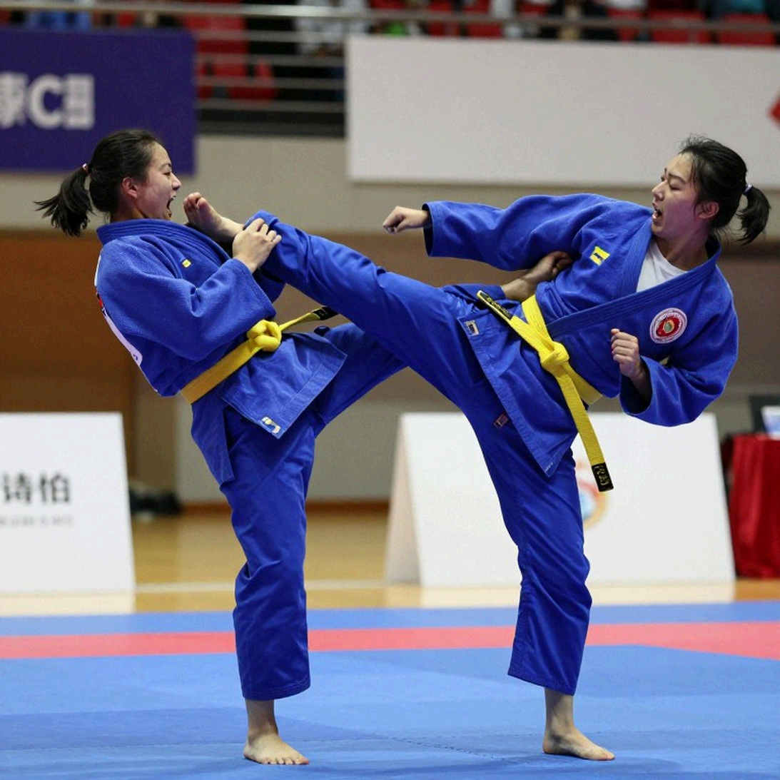 Pereira đối đầu Pavlovich tại UFC 335: Canh bạc hạng nặng và một hồ sơ nguồn tin cần kiểm chứng
