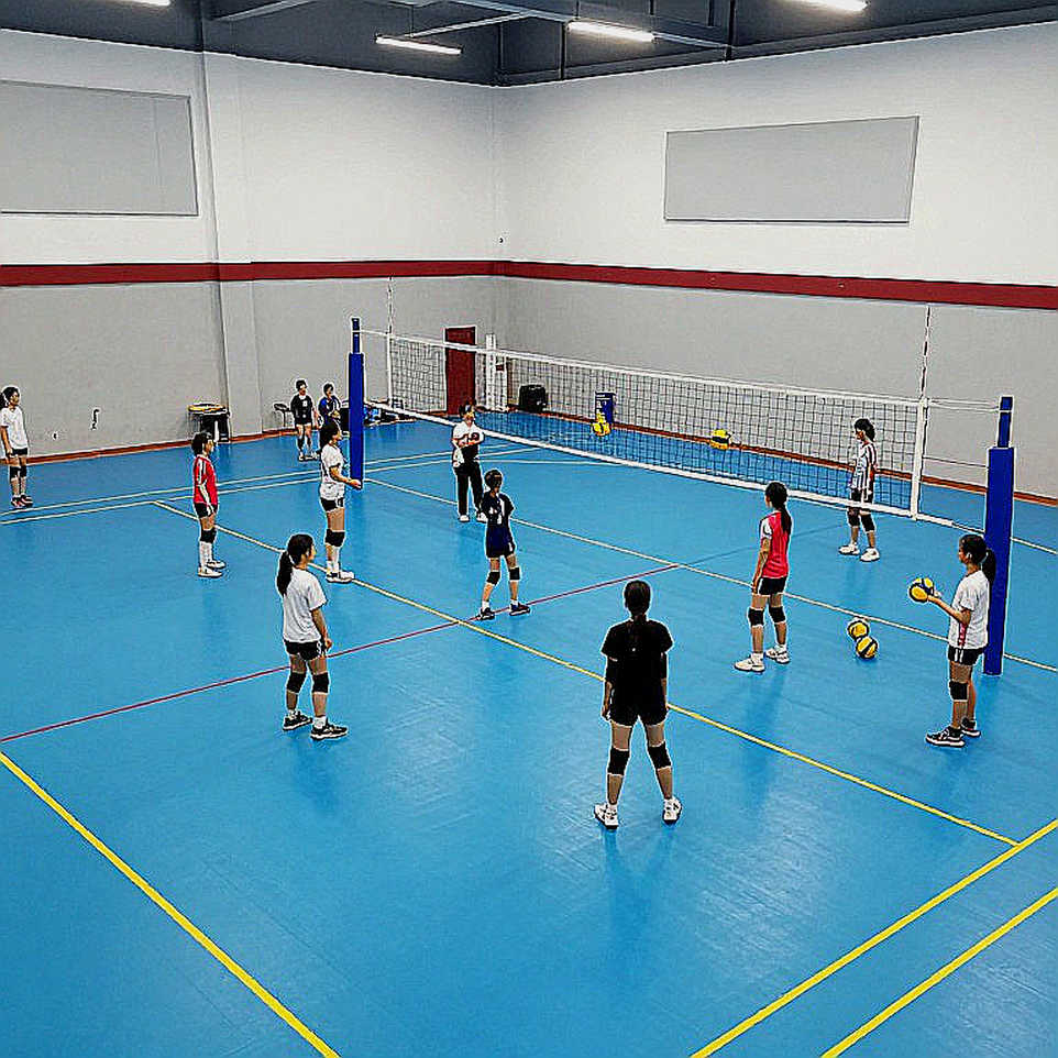 Không đủ dữ liệu để tạo bài viết bóng chuyền: Cần nguồn tin cụ thể