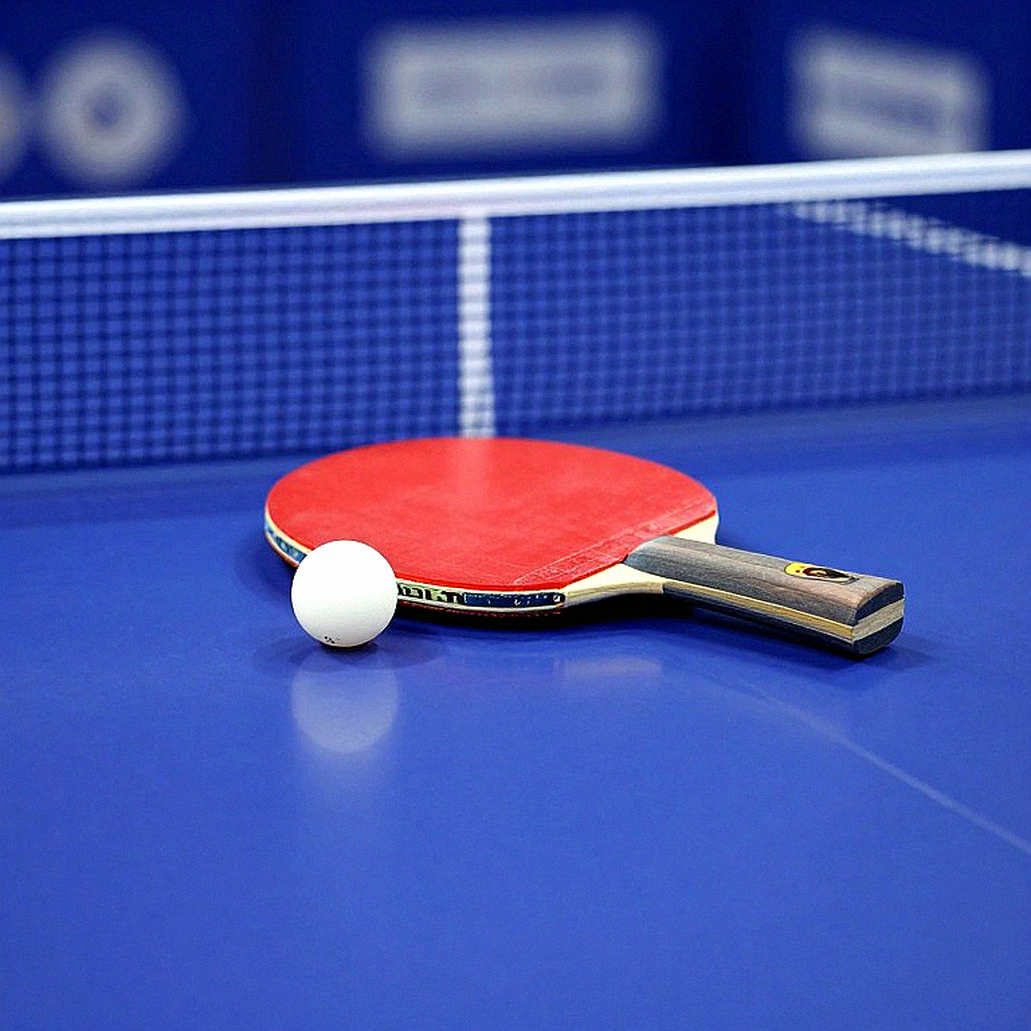 76 trang không có bản in: Table Tennis England, báo cáo 2026/26 và một ngày 16 tháng 10 cố định