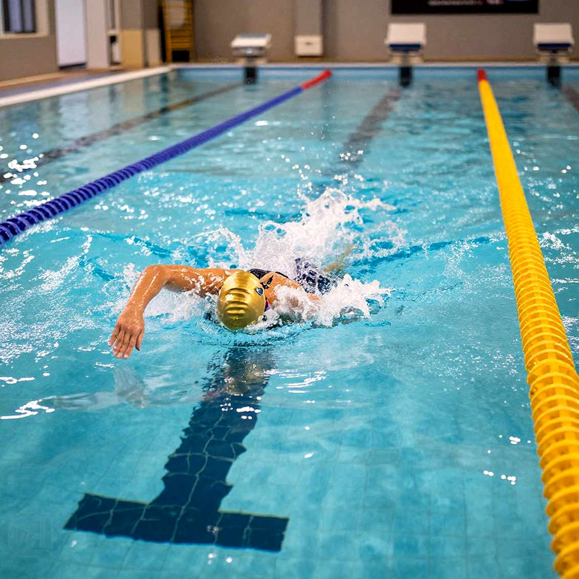 Chase Kendall: The 20-Second Breakthrough and the Cincinnati Choice – Where College Swimming Dreams Begin Chase Kendall: The 20-Second Breakthrough and the Cincinnati Choice – Where College Swimming Dreams Begin