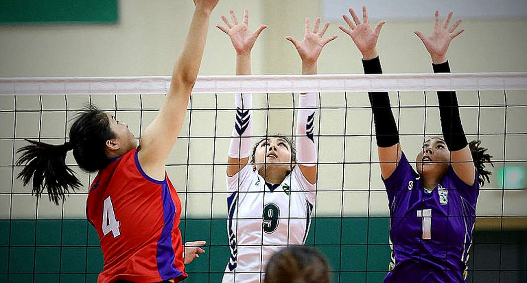 Hà Nội Tasco Auto: Mihajlović, Lê Thanh Thúy và bài toán đưa khán giả trở lại